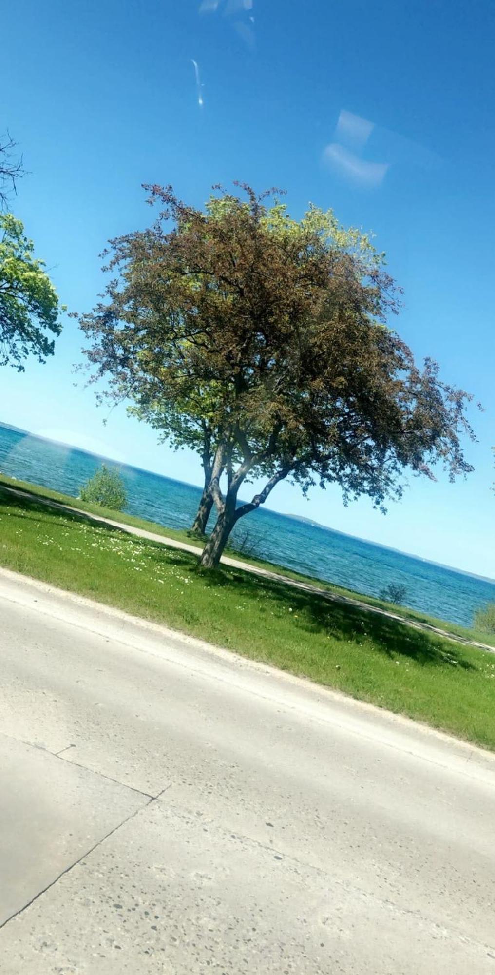 Downtown Traverse City Condo - Capri 209 Εξωτερικό φωτογραφία